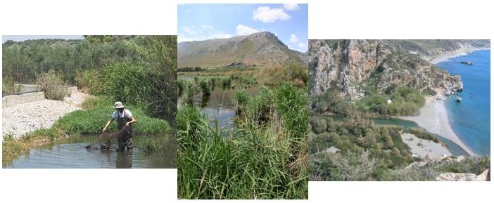 Fieldwork in Crete