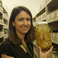 Manager, Natural Sciences Collections, Dr Joanne Taylor